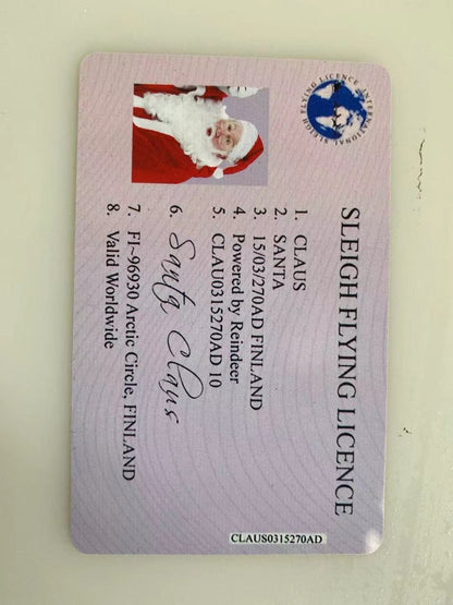 Christmas Gift For Children Sled Driving License