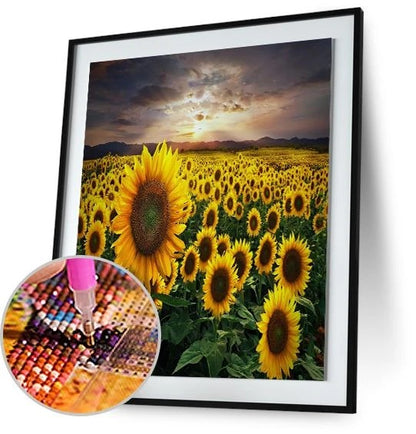 Pintura de diamantes de girasol Mar Amarillo-Kevin Carden