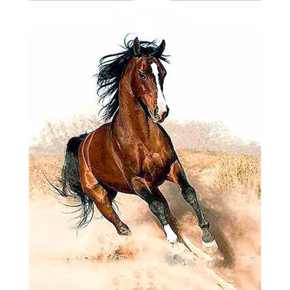 A Drop Shipping Digital Oil Painting Wholesale Frameless Horse