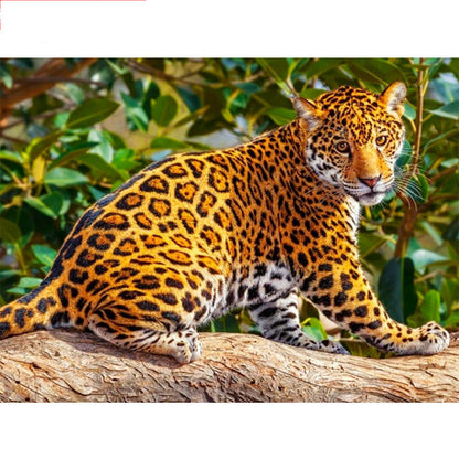 5D Diamond Painting Leopard Baby