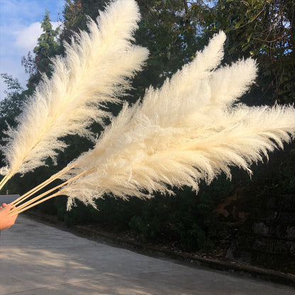 Reed dried flower bouquet