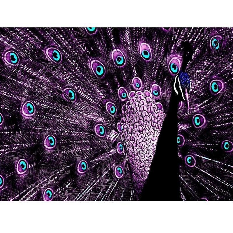 5D Diamond Painting -  Pfau Schne Flgel