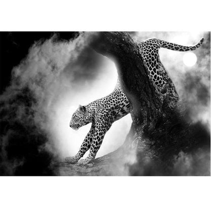 5D Diamond Painting - Leopard Schwarz Und Wei