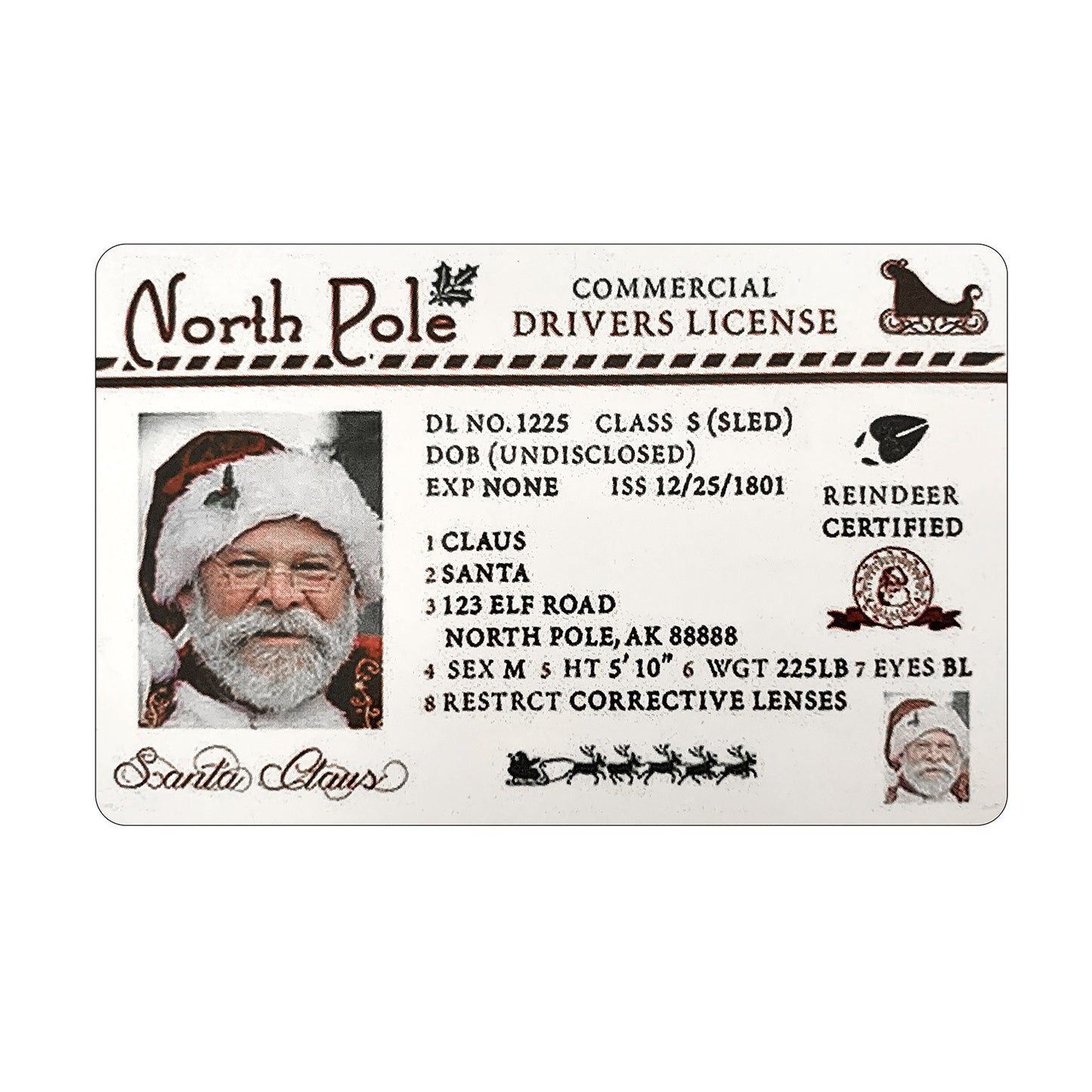 Christmas Gift For Children Sled Driving License