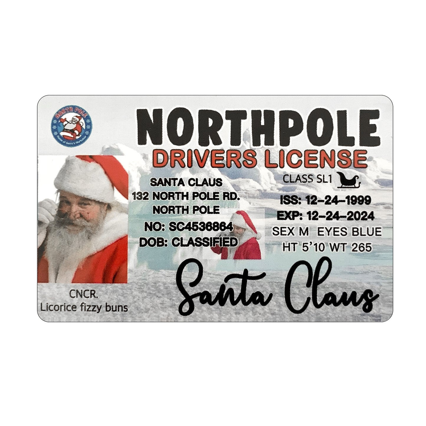 Christmas Gift For Children Sled Driving License