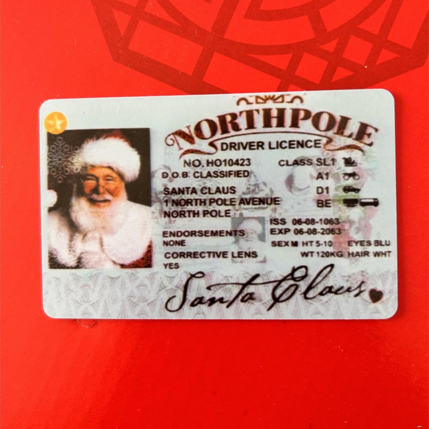 Christmas Gift For Children Sled Driving License