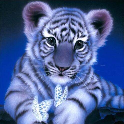 Pintura Diamante Diy Tigre Bordado Diamante 5D