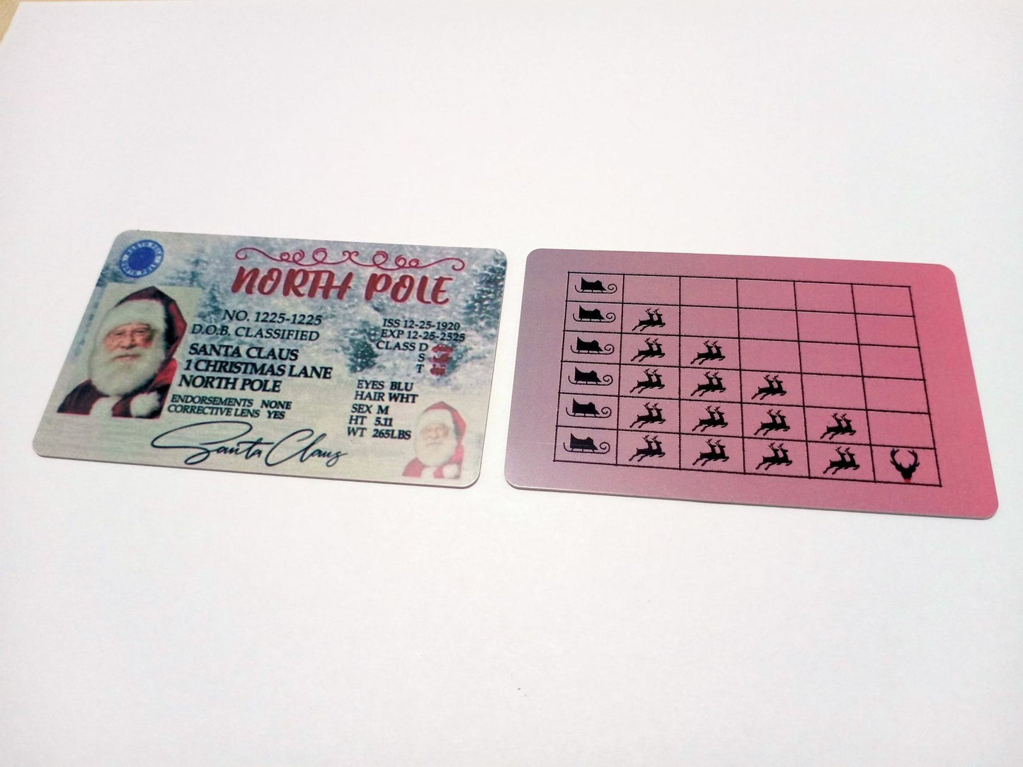 Christmas Gift For Children Sled Driving License