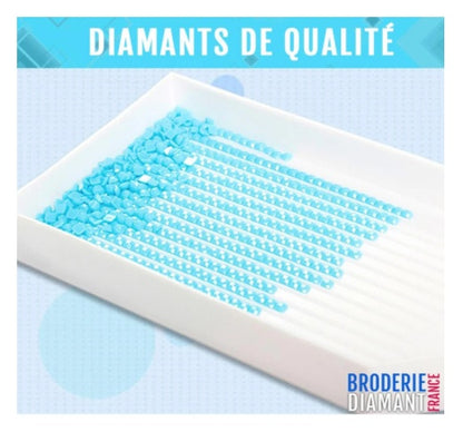 Broderie de diamant de loup hurlant