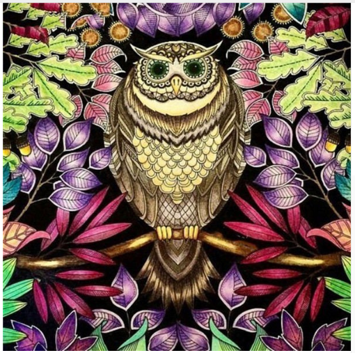 5D Diamond Painting - Colorful Owl In The Garden