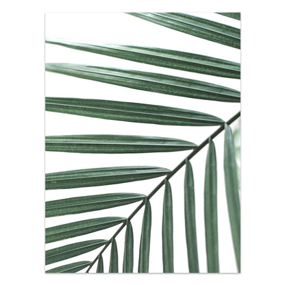 Nordic Style Tropical Plants Poster Green Leaves Canvas Print