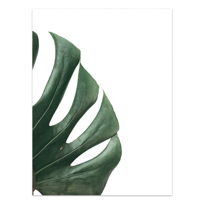 Nordic Style Tropical Plants Poster Green Leaves Canvas Print