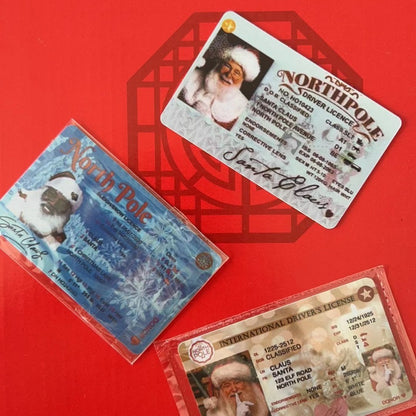 Christmas Gift For Children Sled Driving License