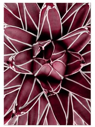 Pivoine rouge Rose fleur feuille mur Art diamant peinture point de croix