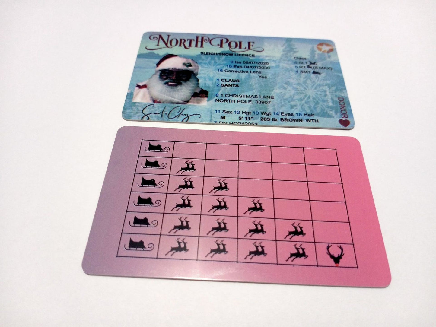 Christmas Gift For Children Sled Driving License