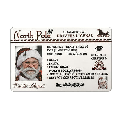 Christmas Gift For Children Sled Driving License