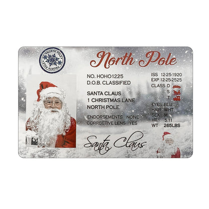 Christmas Gift For Children Sled Driving License