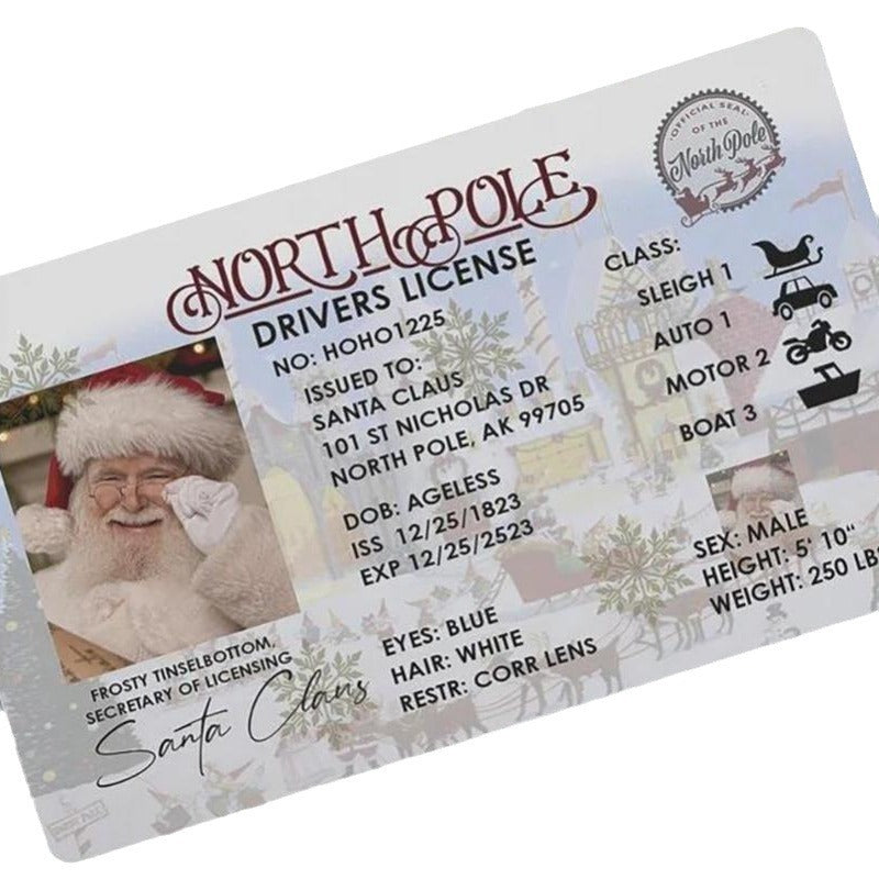 Christmas Gift For Children Sled Driving License