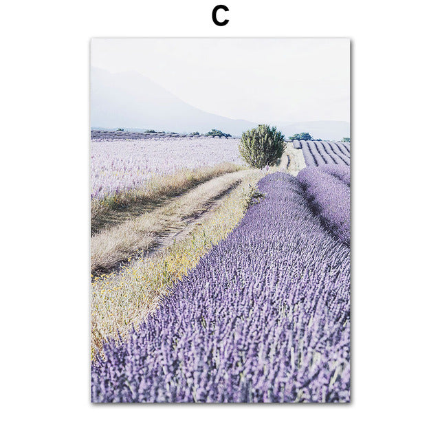 Purple Flower Field Lavender Bicycle Landscape Poster