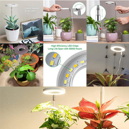 Timing Dimming Succulent Bonsai Plant Grow Light