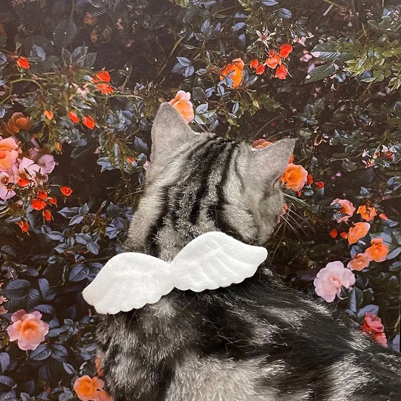 Nuevo collar blanco específico para gatos, accesorios con alas de ángel para mascotas, anillos para el cuello para perros al aire libre, suministros para corbatas de mariposa, suministros de decoración para mascotas