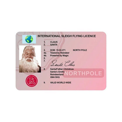 Christmas Gift For Children Sled Driving License