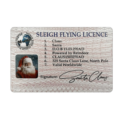 Christmas Gift For Children Sled Driving License